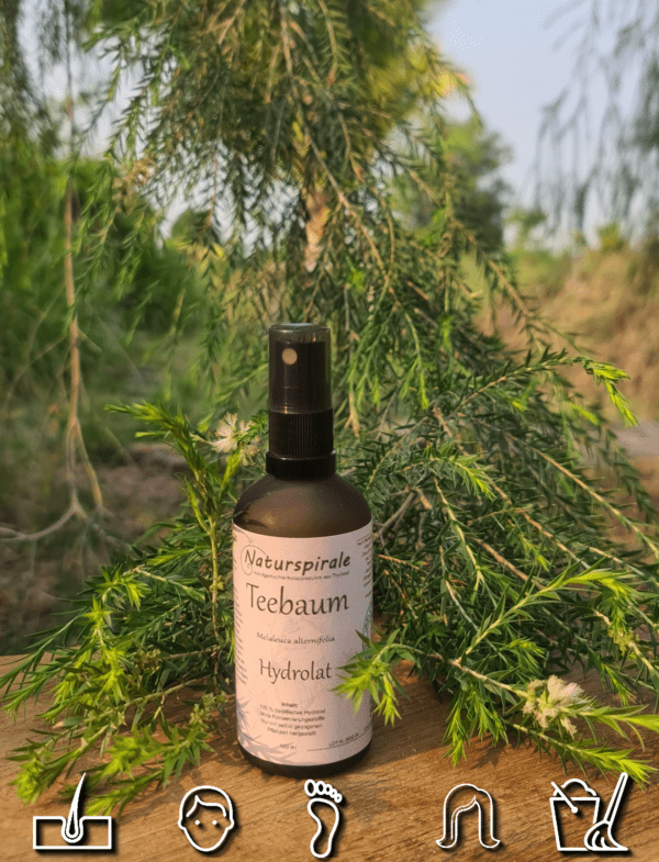 Teebaum Hydrolat