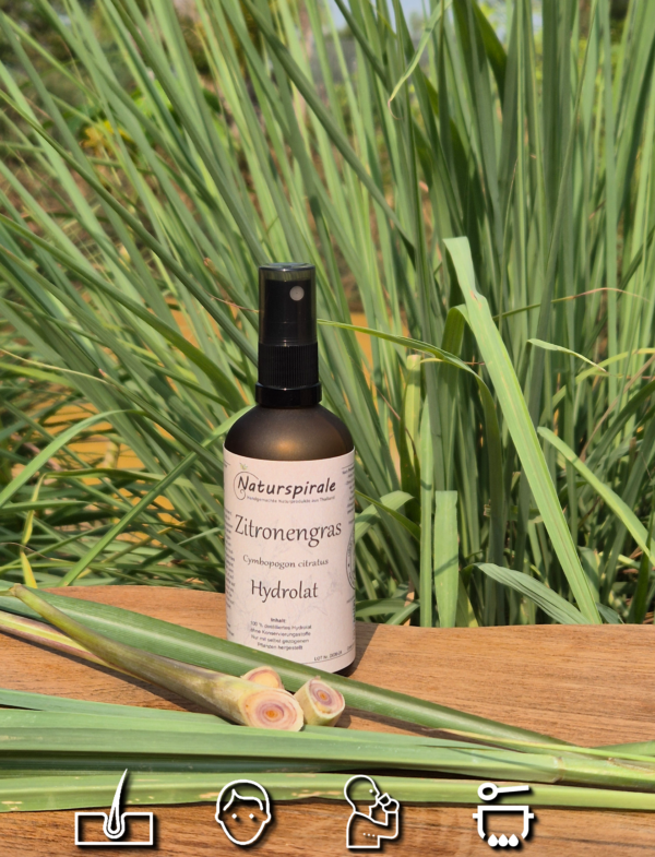 Zitronengras Hydrolat