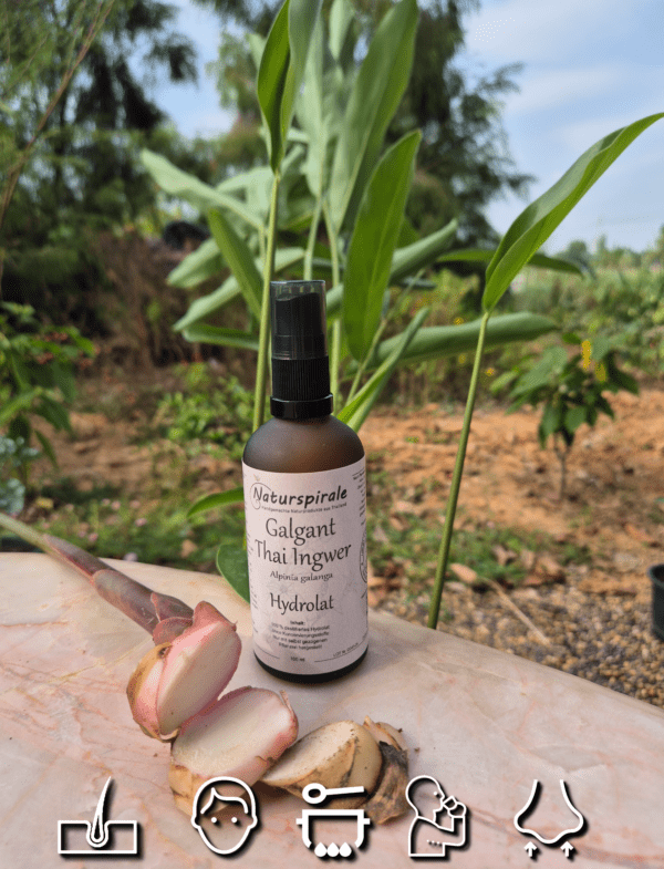 Galgant Hydrolat