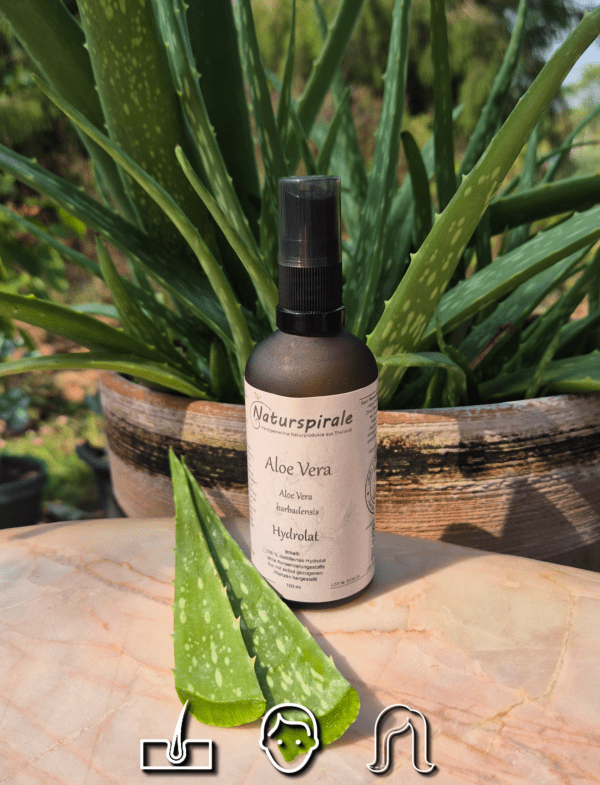 Aloe Vera Hydrolat